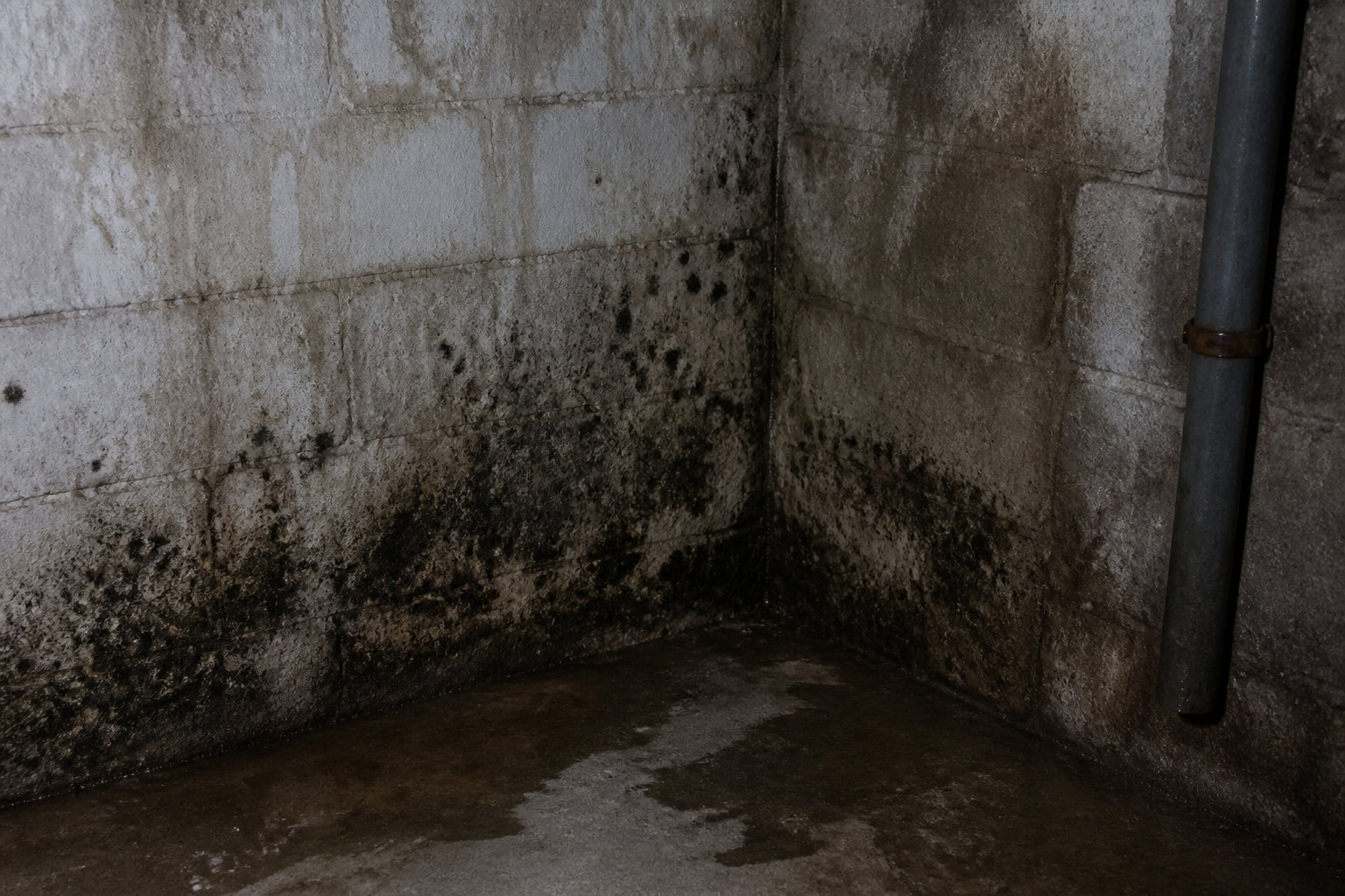 Dangers sanitaires et thermiques liés à l'humidité souterraine